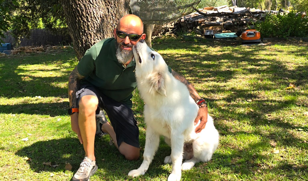 education canine vidauban