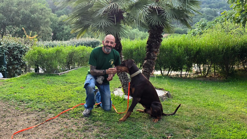 educateur canin draguignan