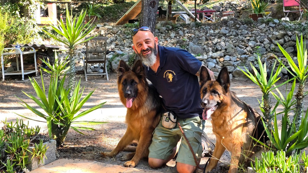 educateur canin vidauban