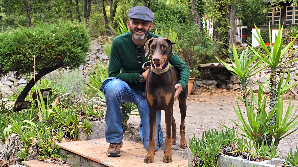 comportementaliste canin mougins