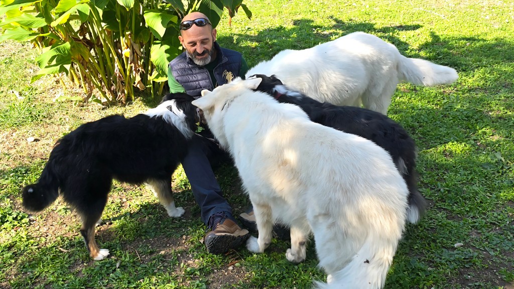 Quiz : Question test&nbsp;9