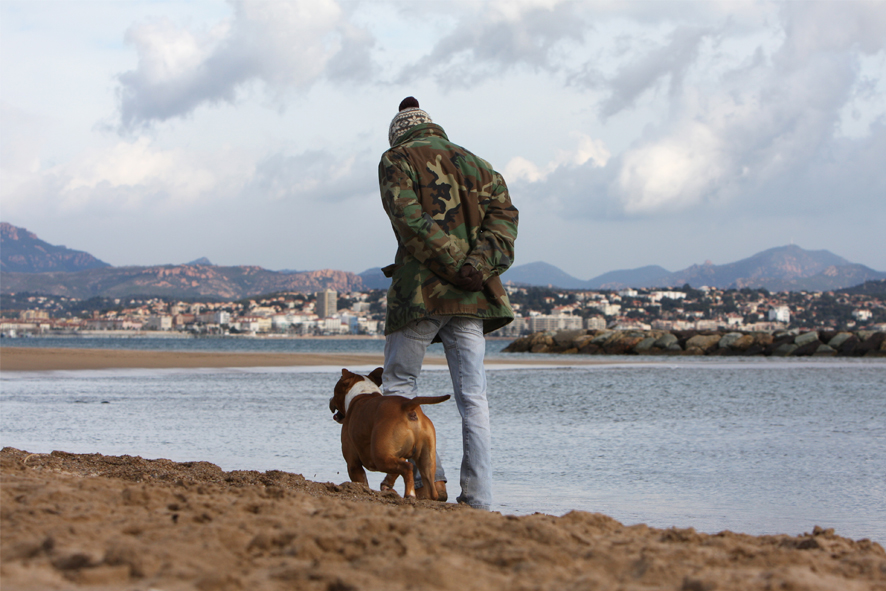 comportementaliste canin draguignan