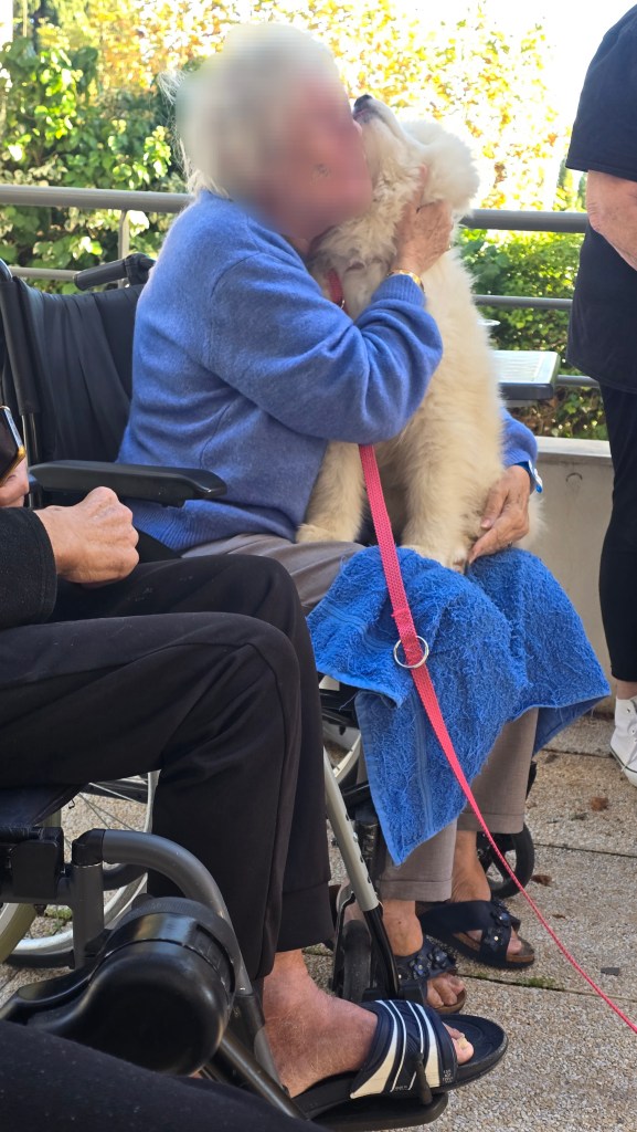 mediation canine paca