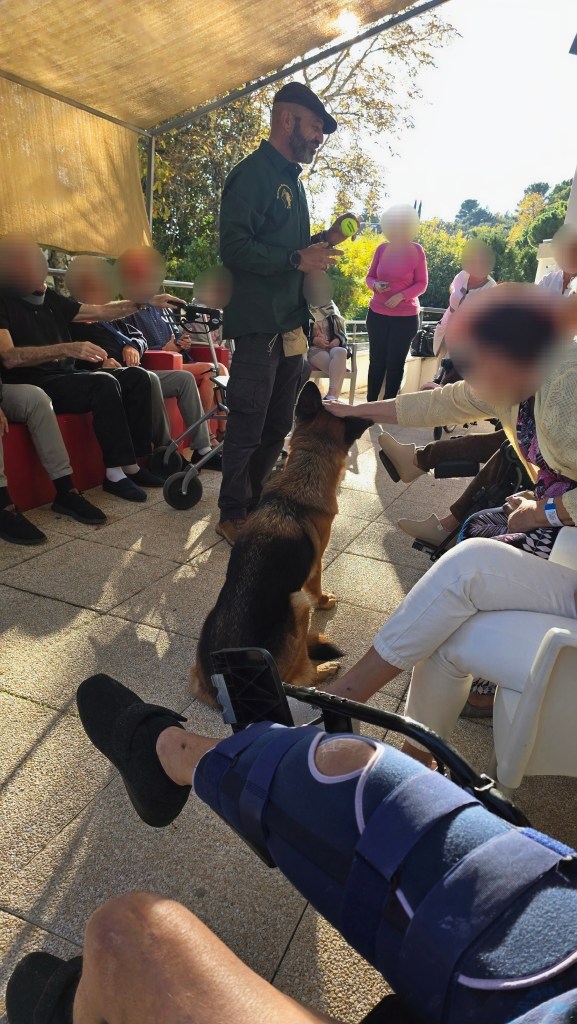 mediation canine vidauban