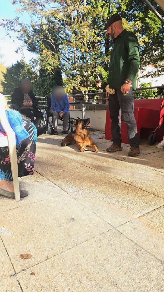 mediation canine vidauban