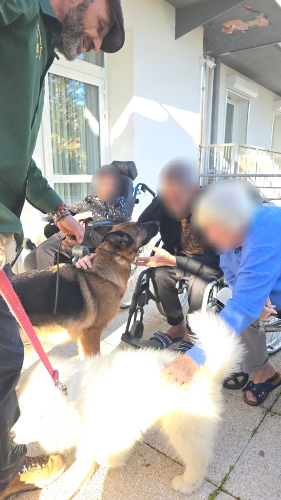 mediation canine draguignan