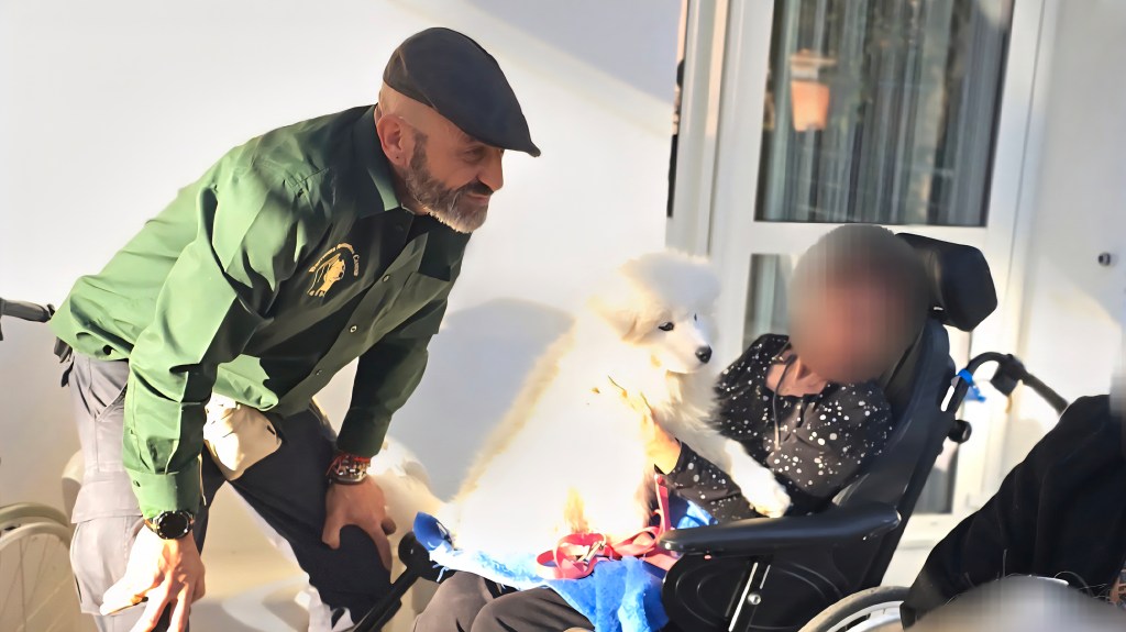 mediation canine les arcs