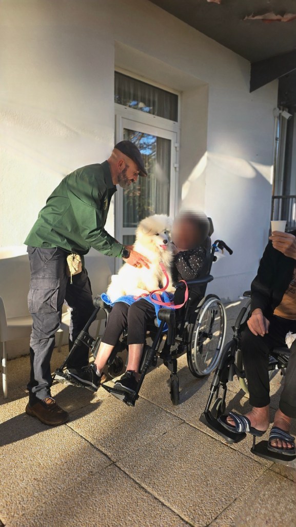 mediation canine frejus