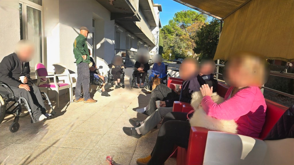 mediation canine saint tropez