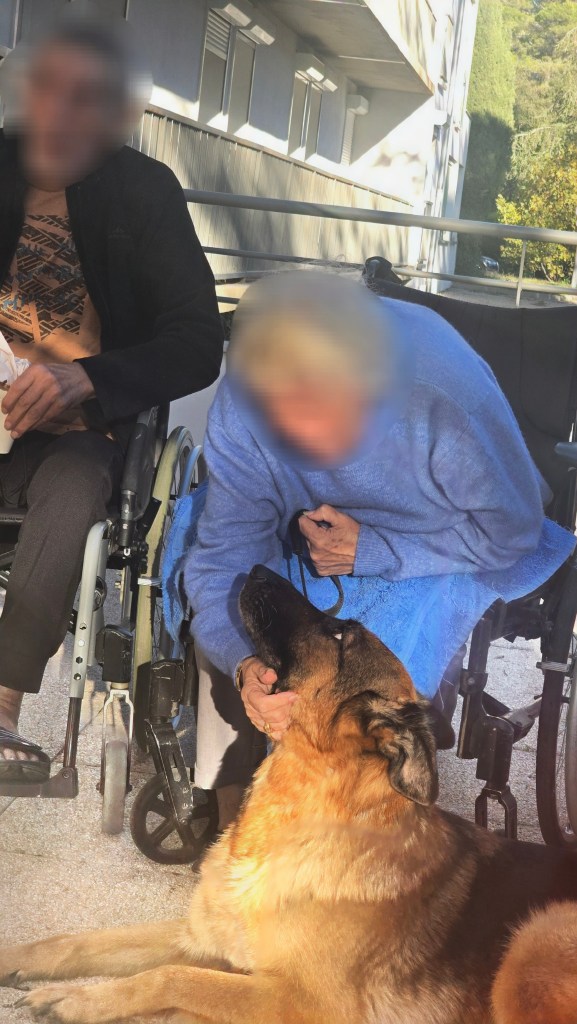 mediation canine cogolin