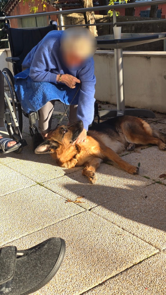 mediation canine brignoles