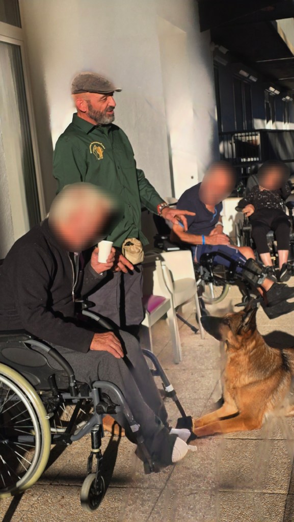 mediation canine cannes