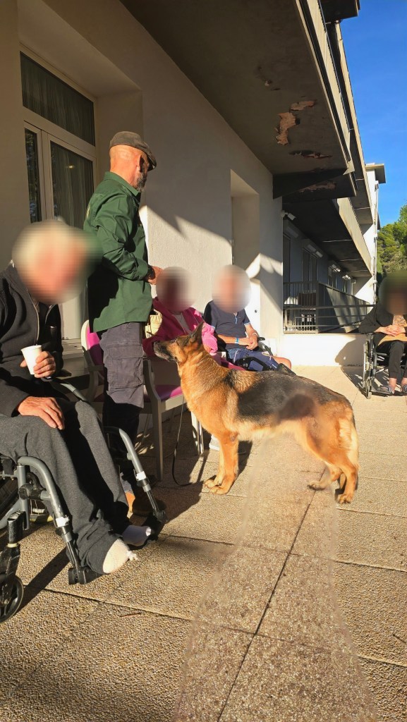 mediation canine mougins