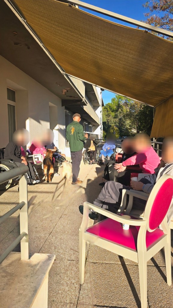 mediation animale vidauban