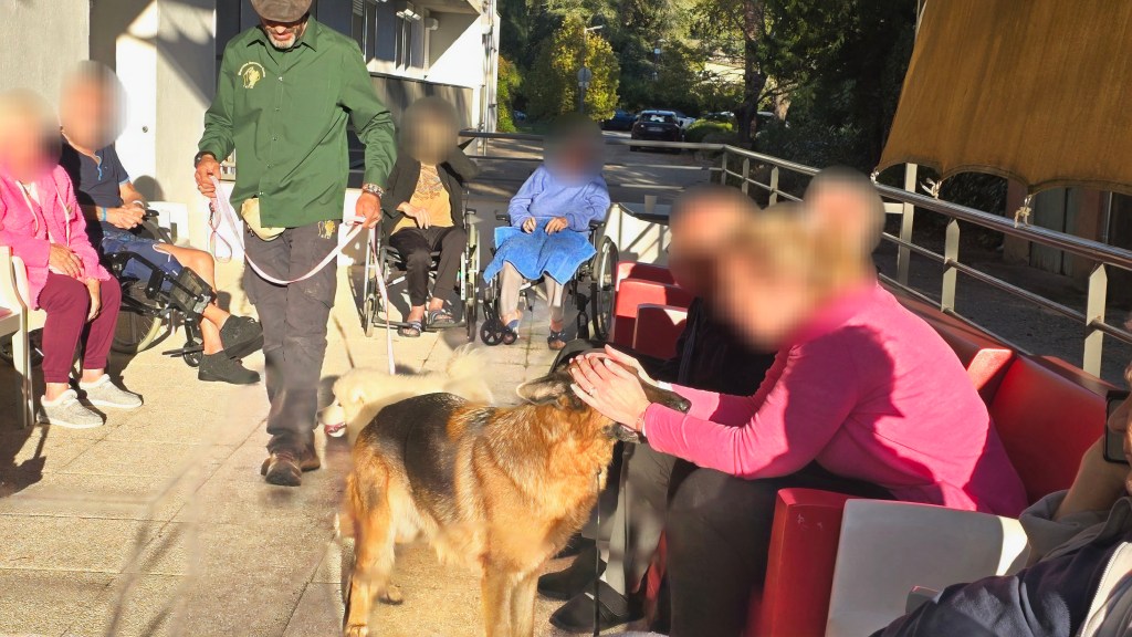 mediation animale frejus