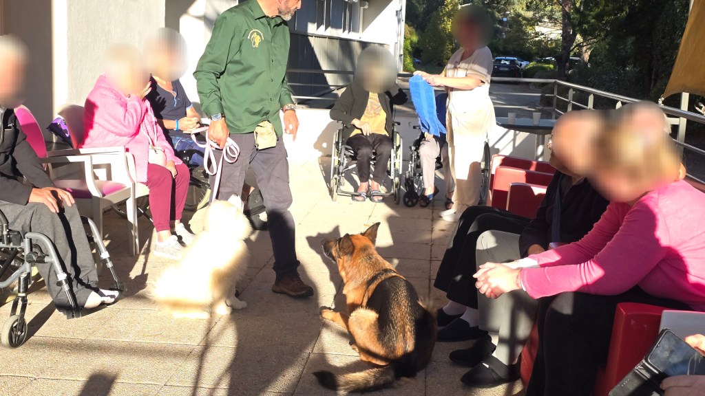 mediation animale saint raphael