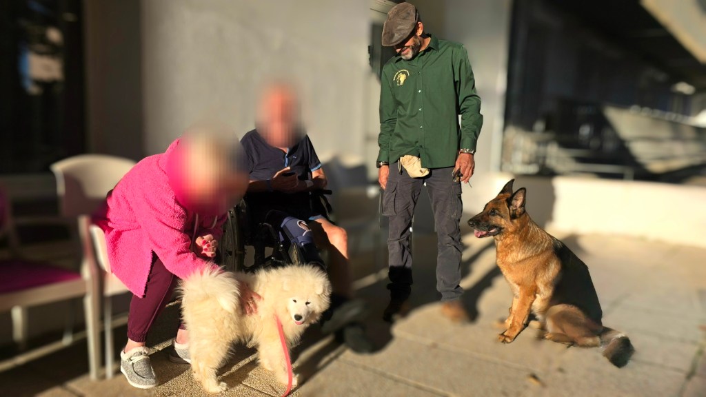 mediation canine var