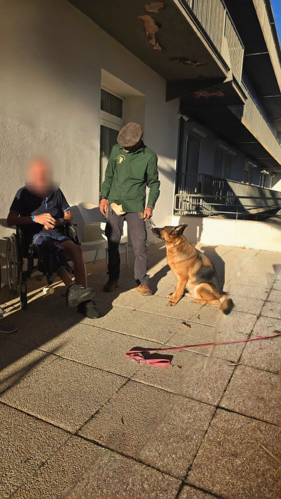 mediation animale paca