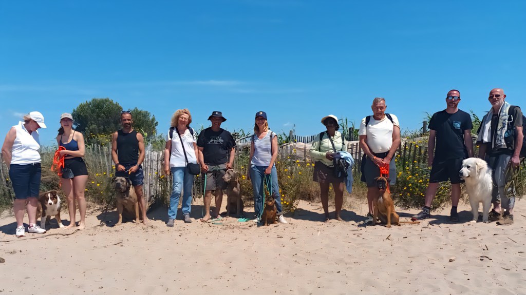 education canine cours collectif vidauban