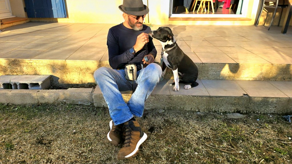 comportementaliste canin vidauban