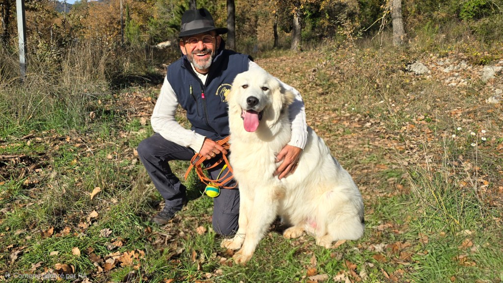 comportementaliste canin frejus