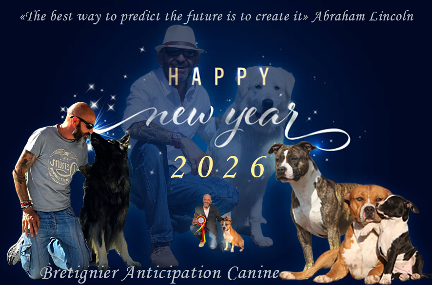 educateur canin vidauban voeux