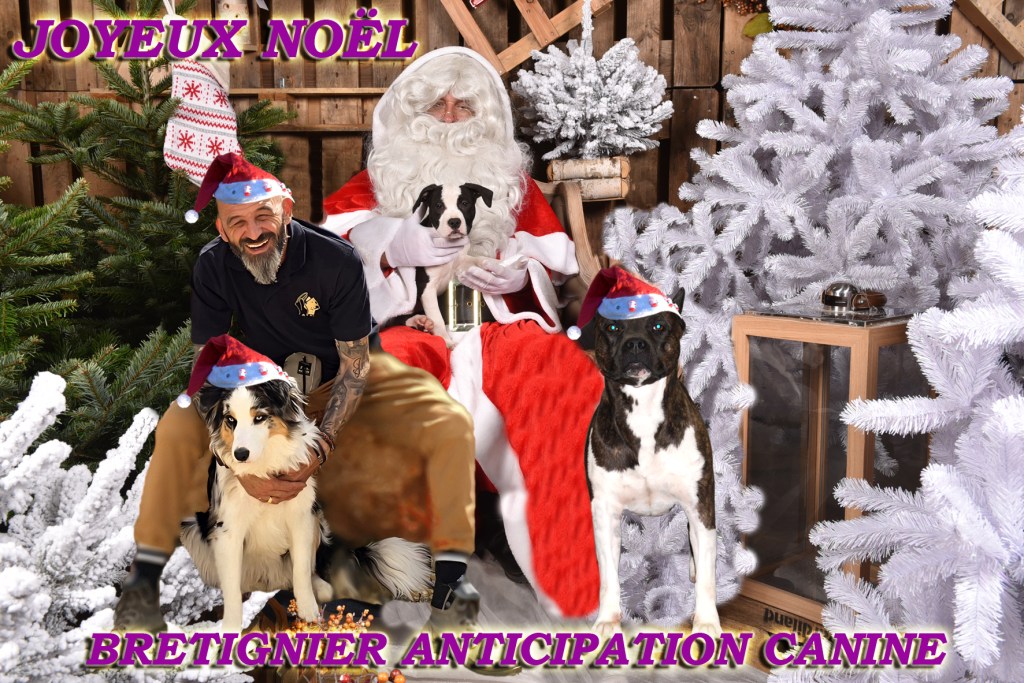 educateur canin vidauban noel