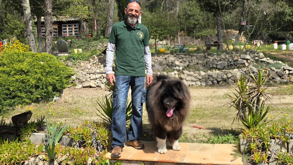 educateur canin Saint tropez