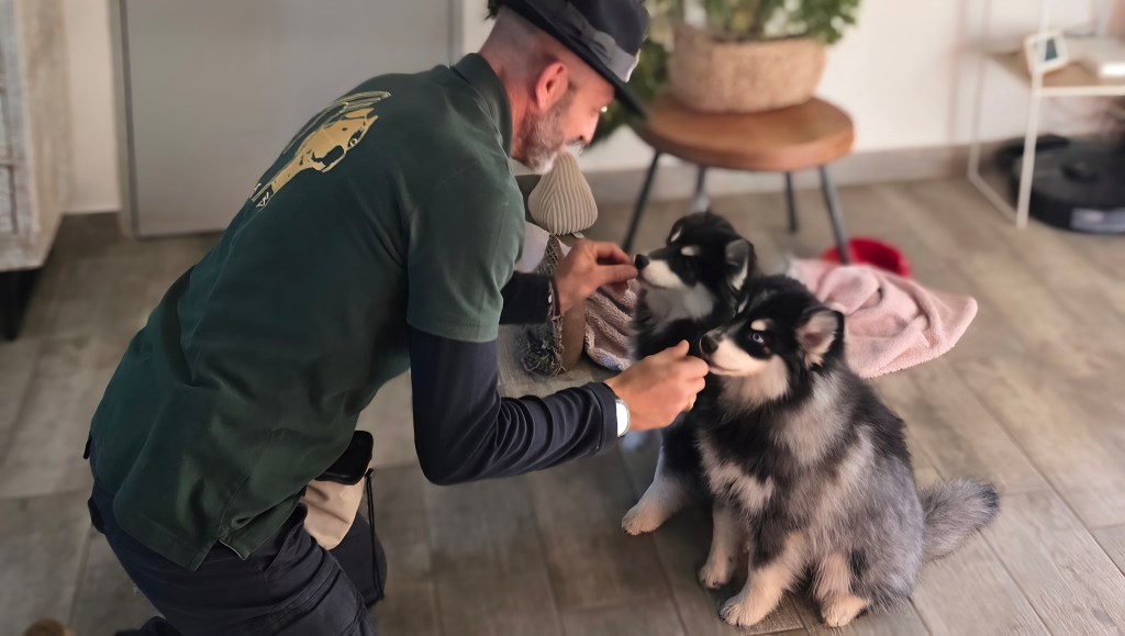 educateur canin vidauban