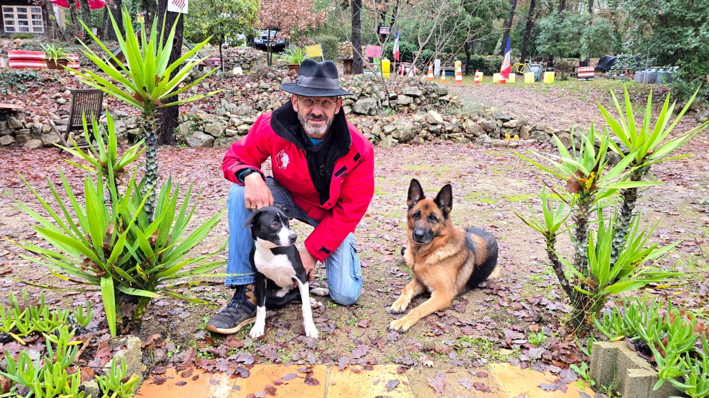 meilleur educateur canin