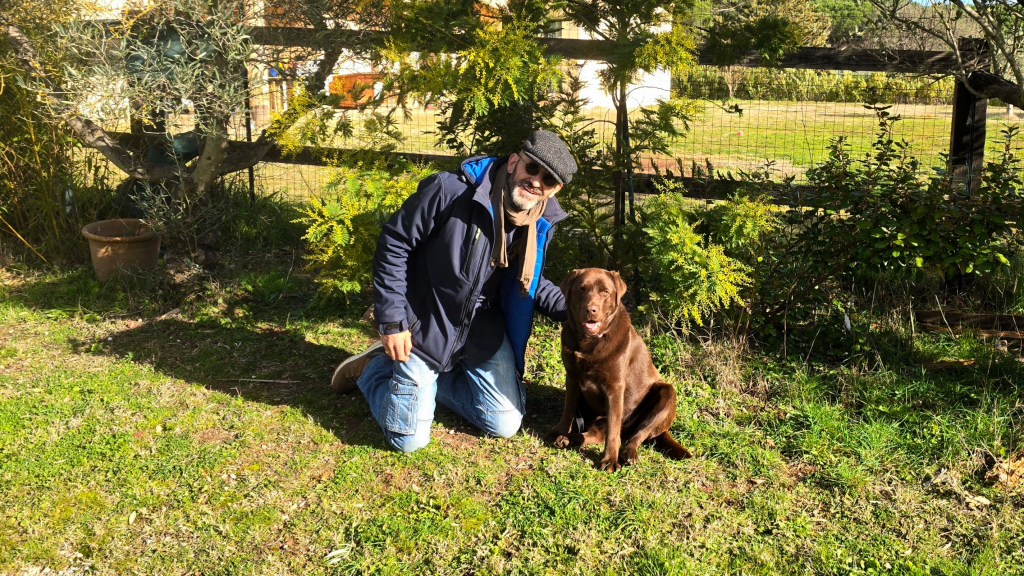 education canine vidauban