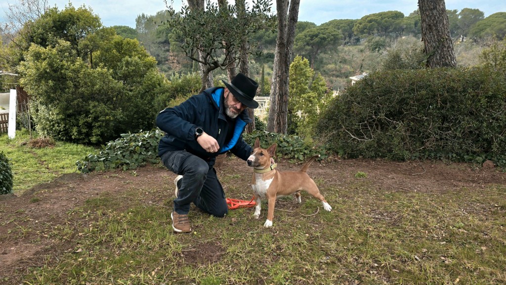education canine cannes