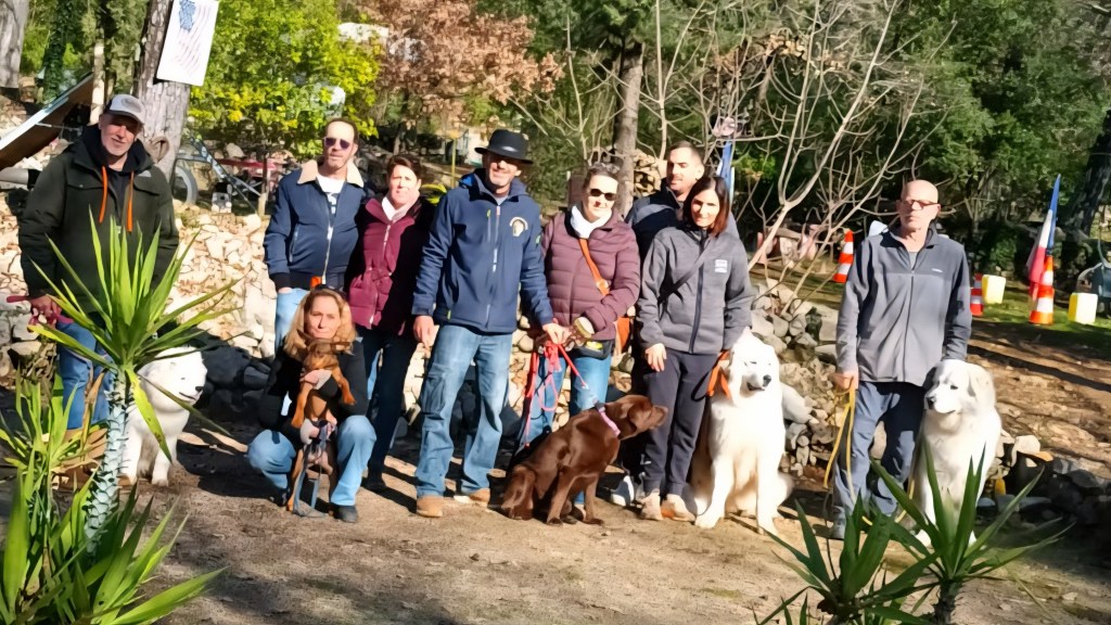 education canine vidauban