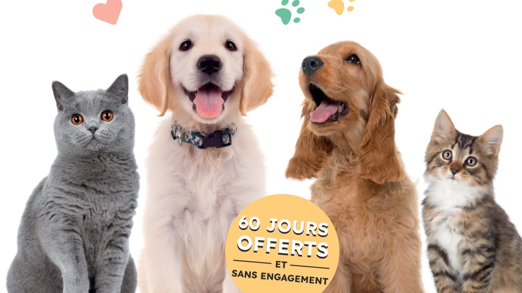 educateur canin sante animale