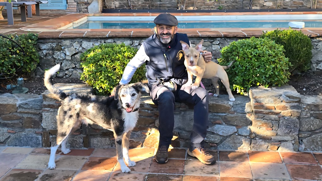 educateur canin saint raphael