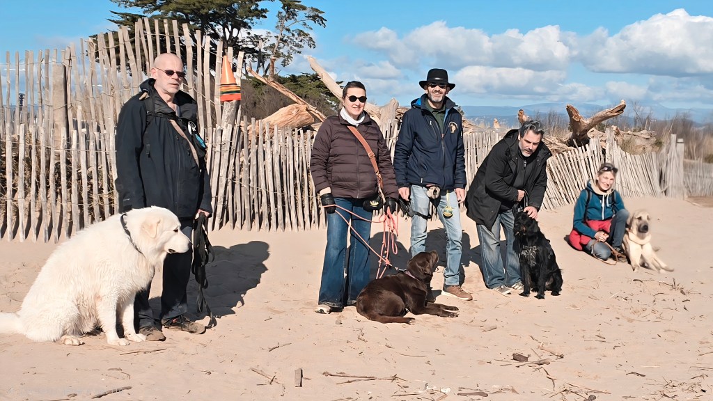 education canine cours collectif vidauban
