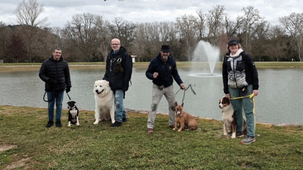 education canine cours collectif vidauban