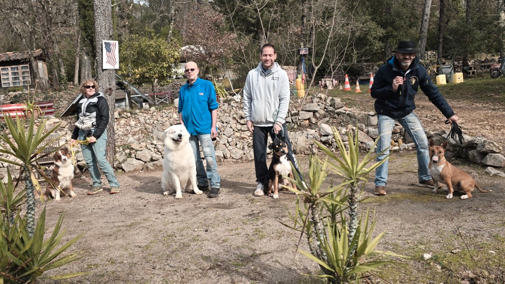 educateur canin cours collectif vidauban