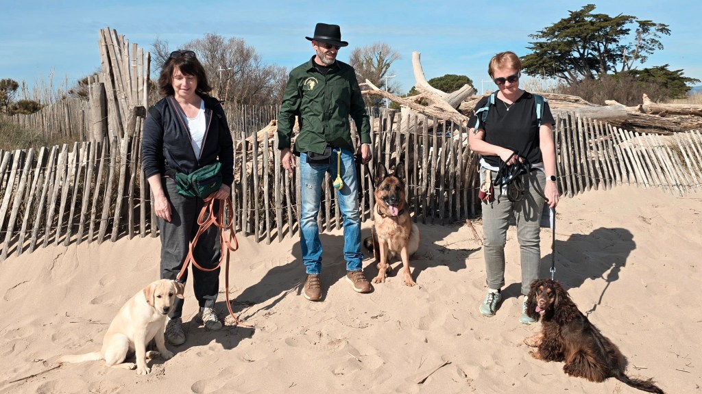 education canine cours collectif var plage