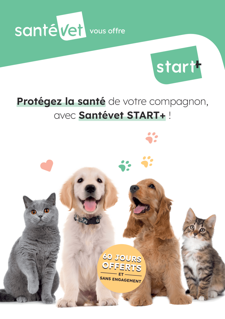 education canine sante animale