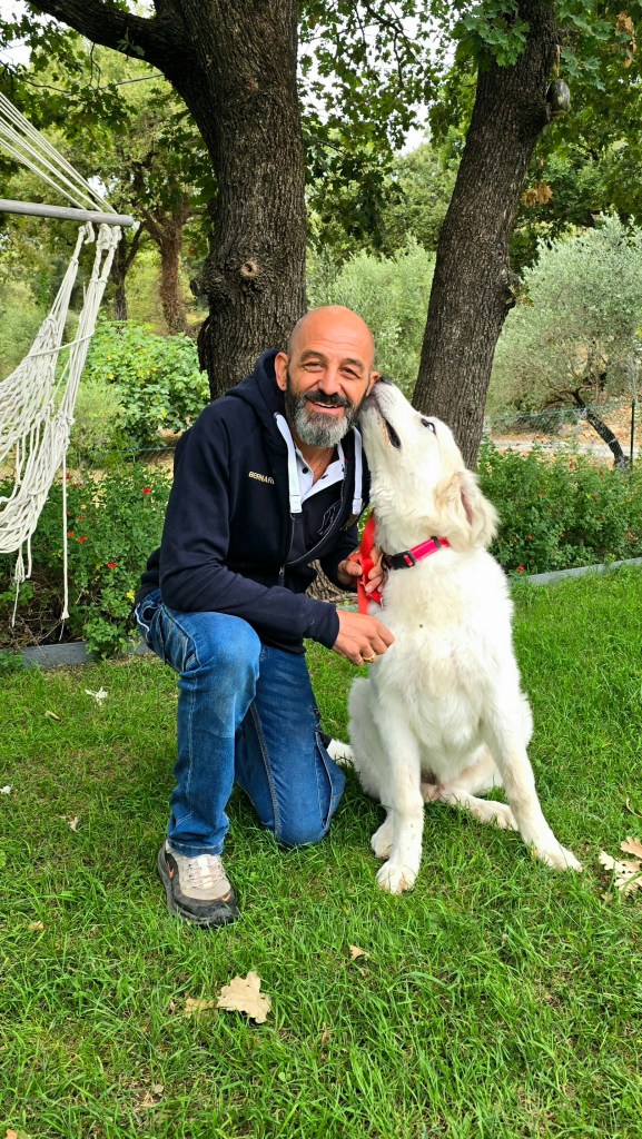 club canin draguignan