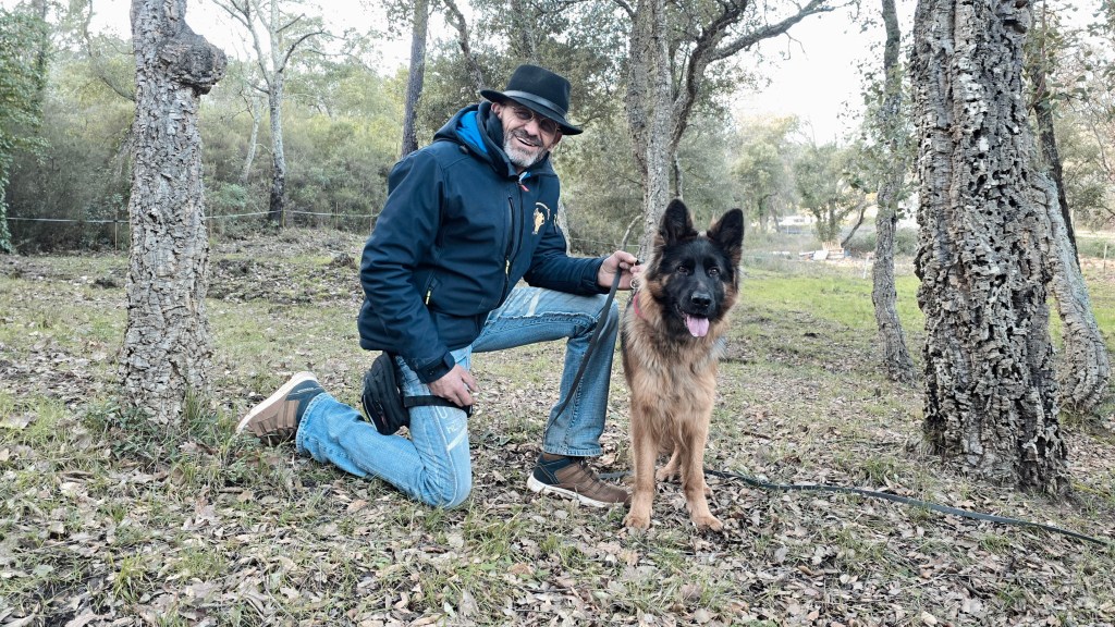 educateur canin saint raphael