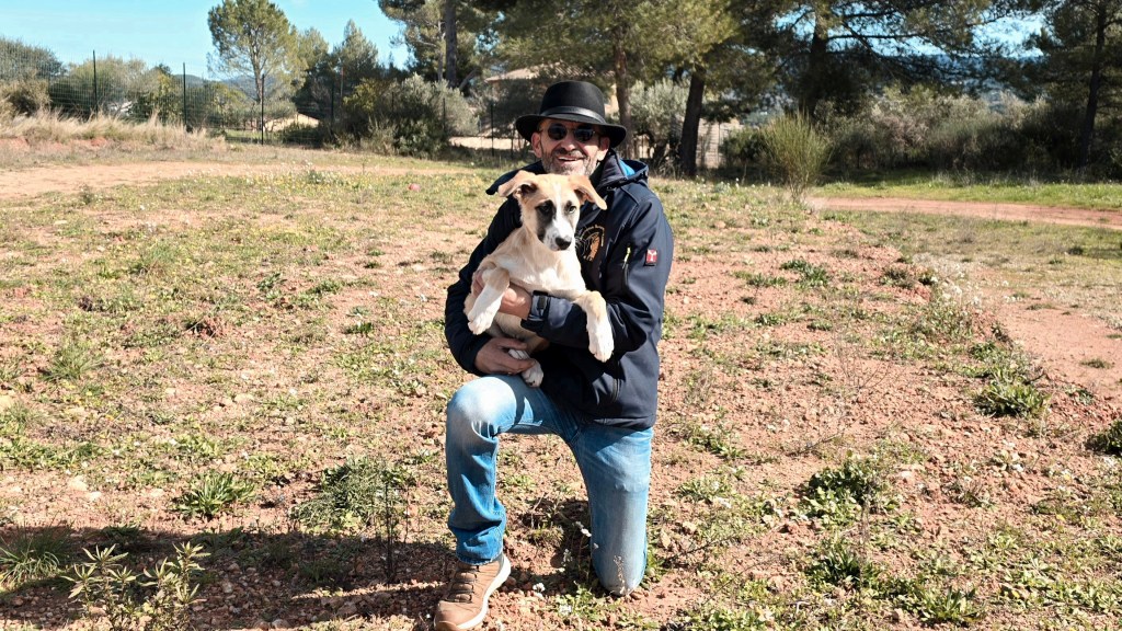 educateur canin Saint raphael