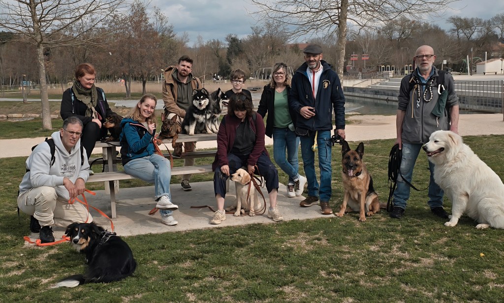 education canine cours collectif draguignan