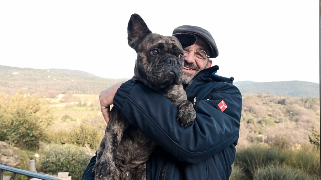 meilleur comportementaliste canin vidauban
