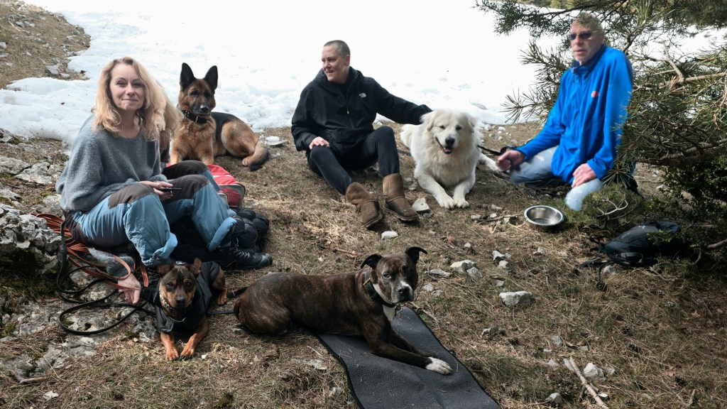 educateur canin frejus