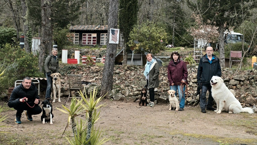 education canine cours collectif vidauban