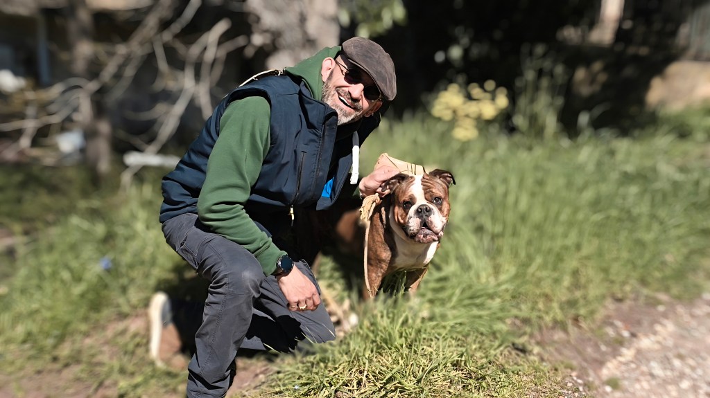 educateur canin le cannet des maures