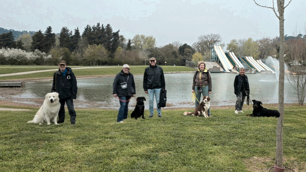 education canine cours collectif draguignan