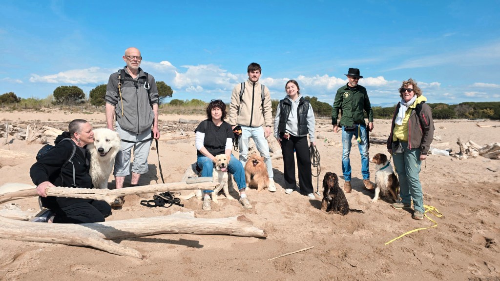 education canine cours collectif vidauban